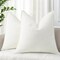 Couch Throw Pillow Covers 18x18 Set of 2, Decorative Soft Chenille Pillow Covers with Elegant Design